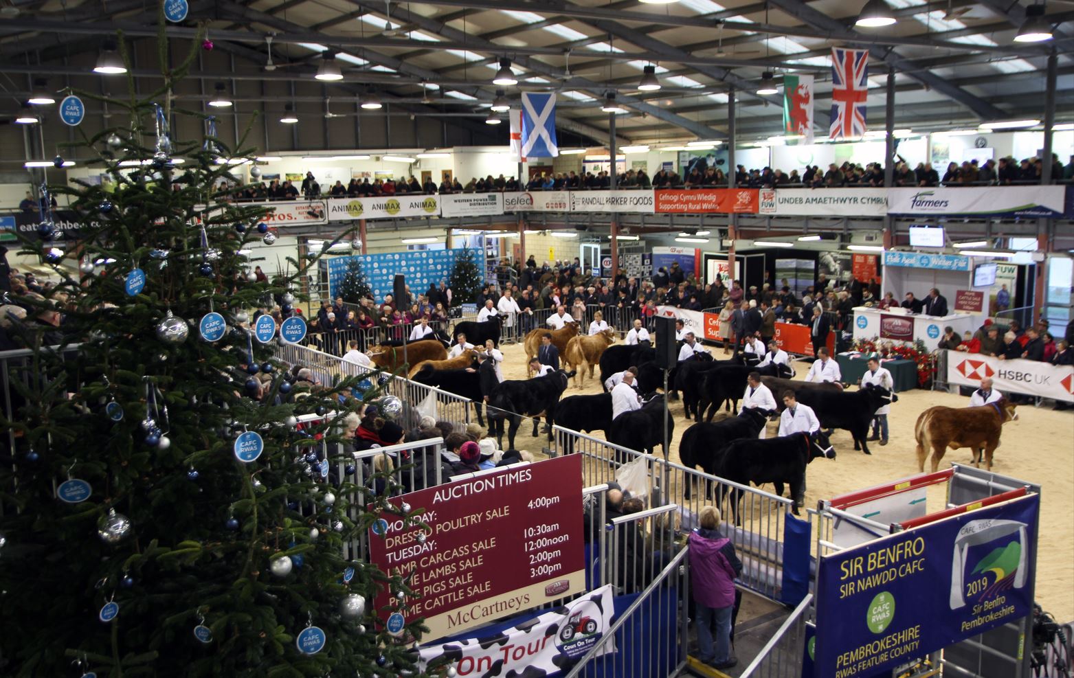 RWAS Royal Welsh Agricultural Society